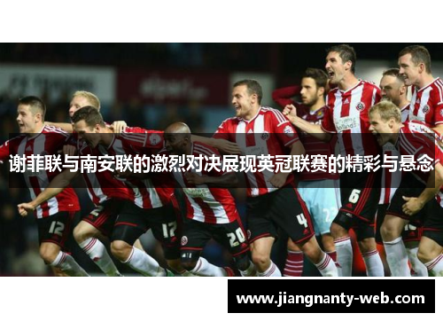 谢菲联与南安联的激烈对决展现英冠联赛的精彩与悬念